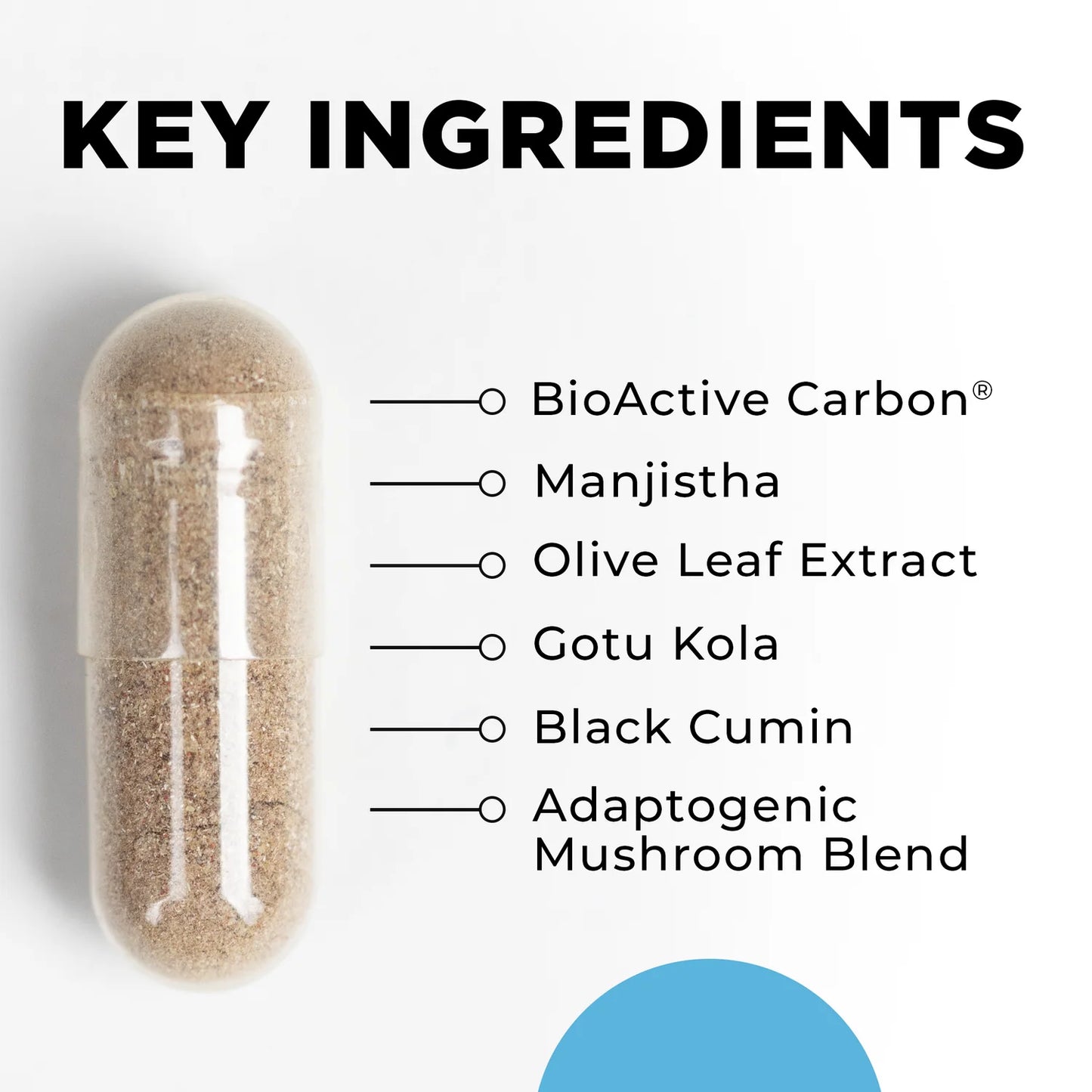 Capsule with key ingredients listed on a white background