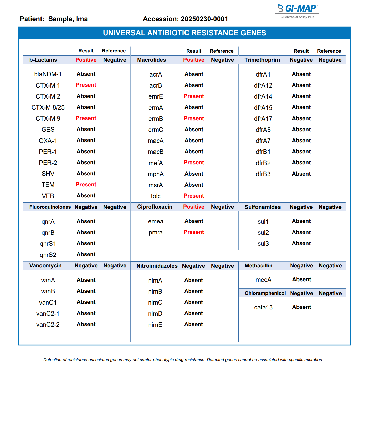 GI Map Sample Report 6
