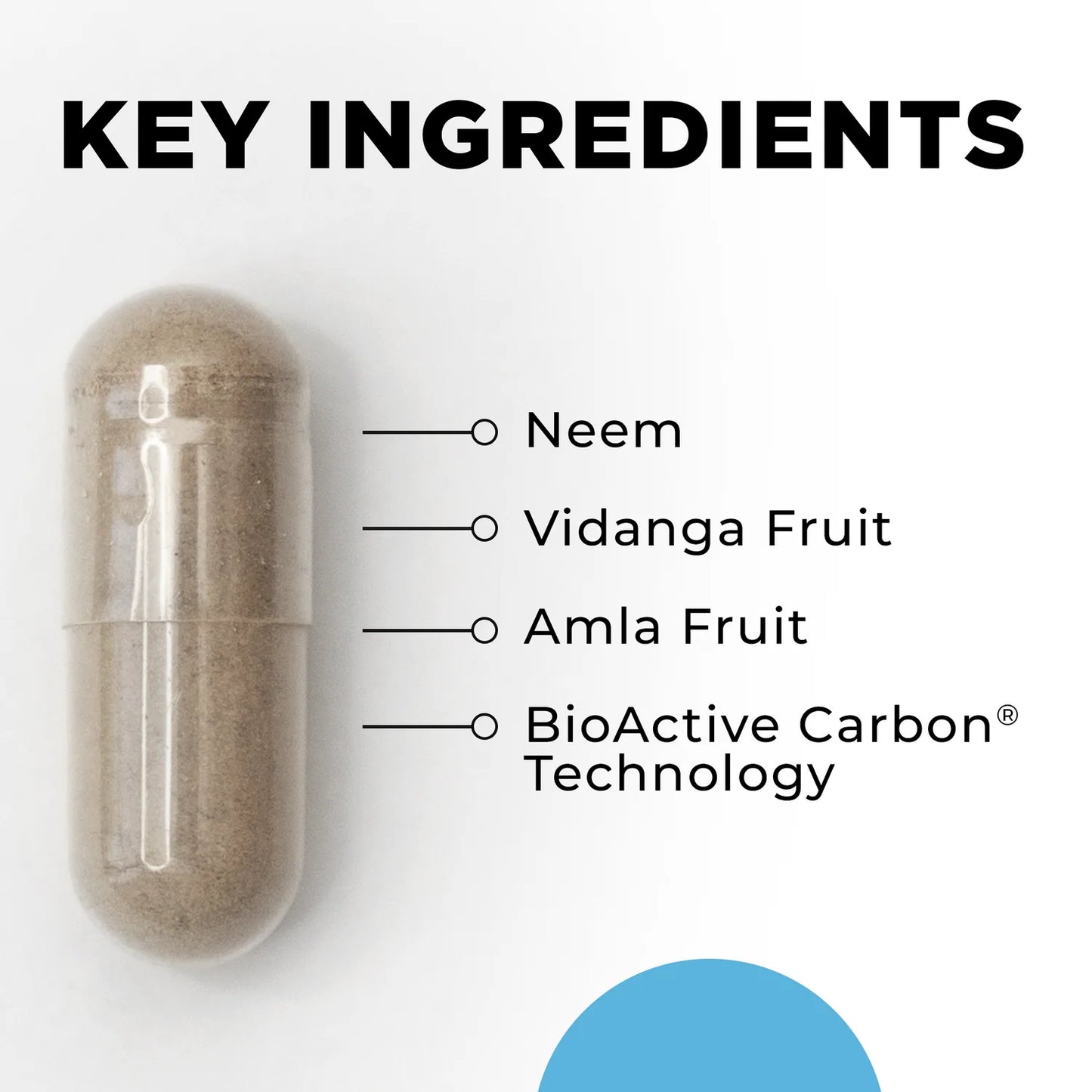Capsule with key ingredients listed on a white background