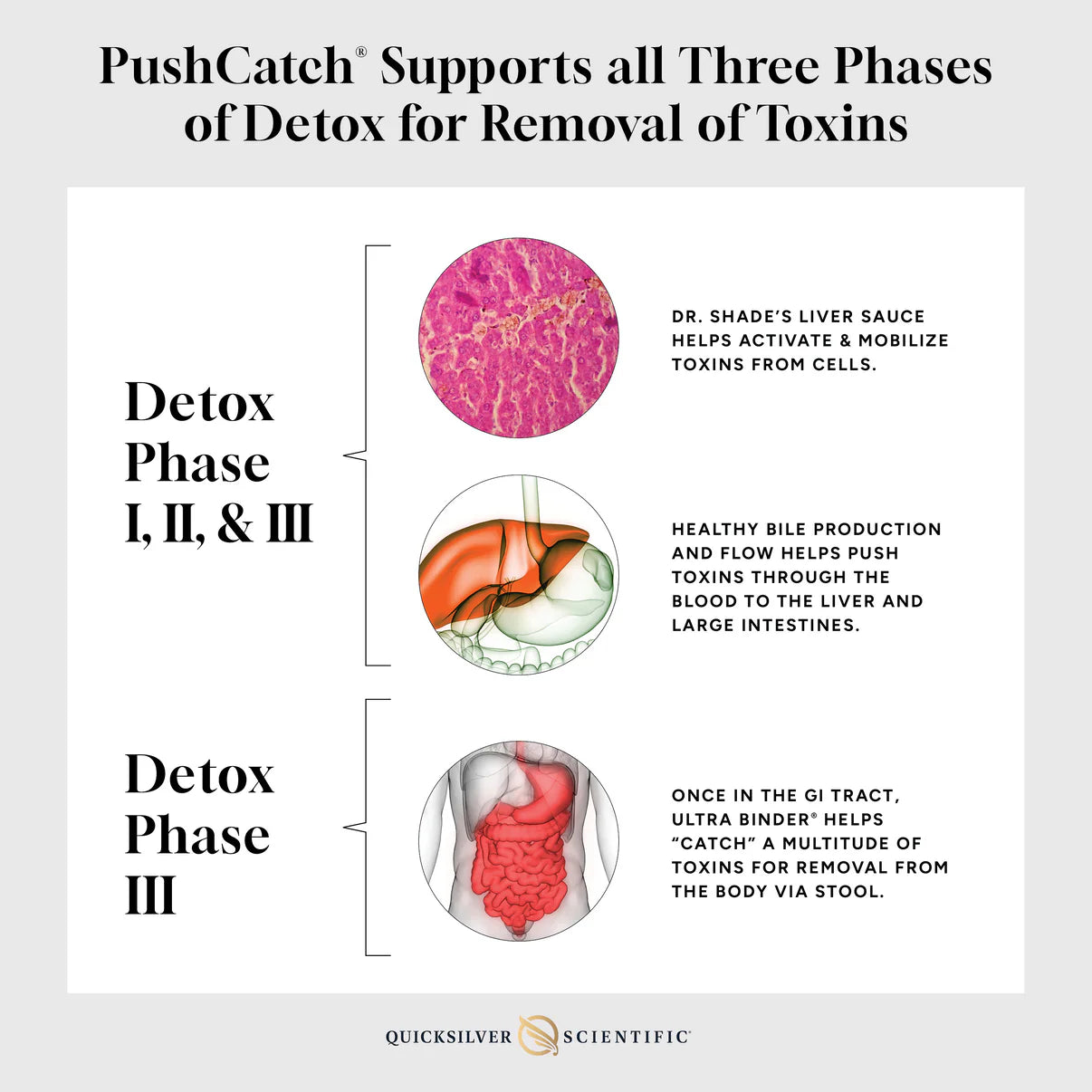PushCatch® Liver Detox process explanation