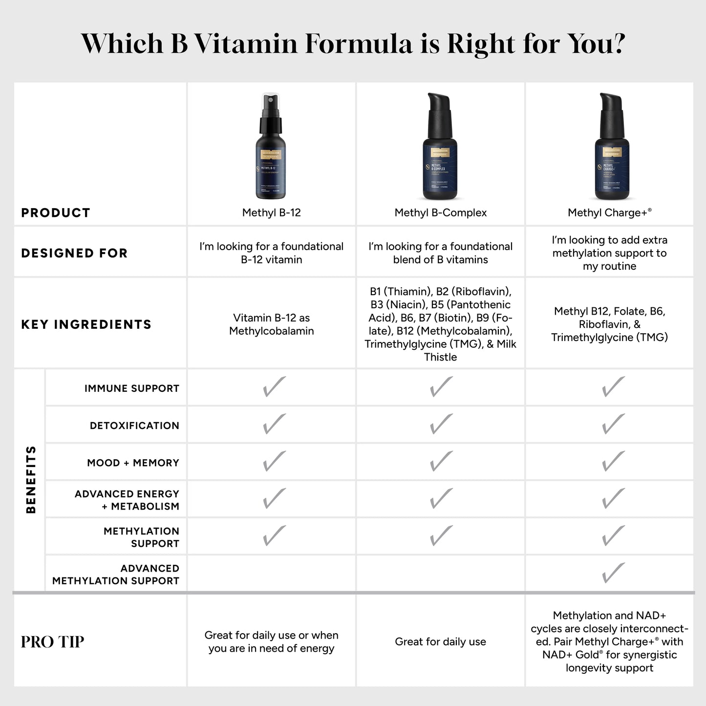 B Vitamins Infographic