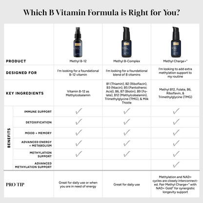 B Vitamins Infographic