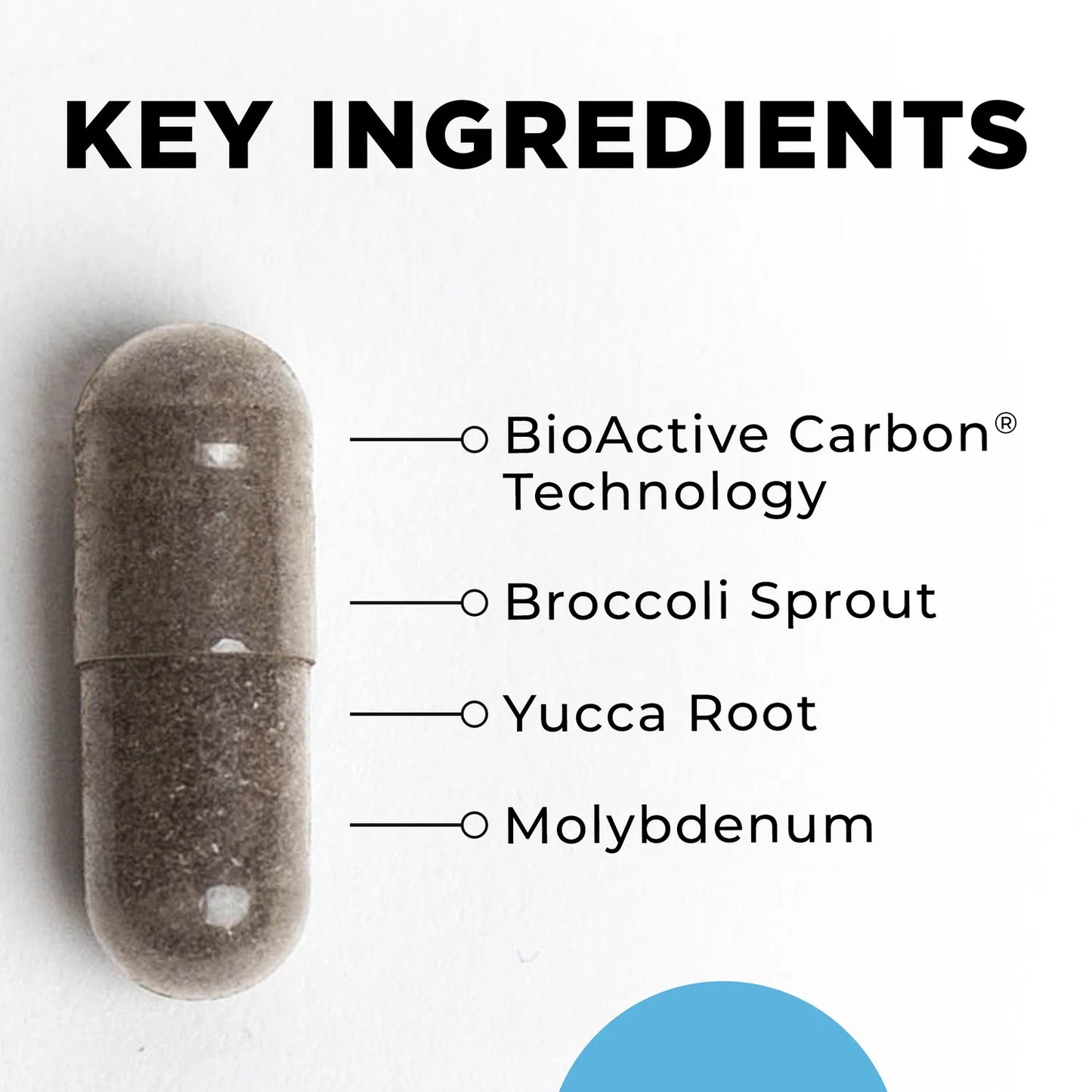 Capsule with key ingredients listed on a white background
