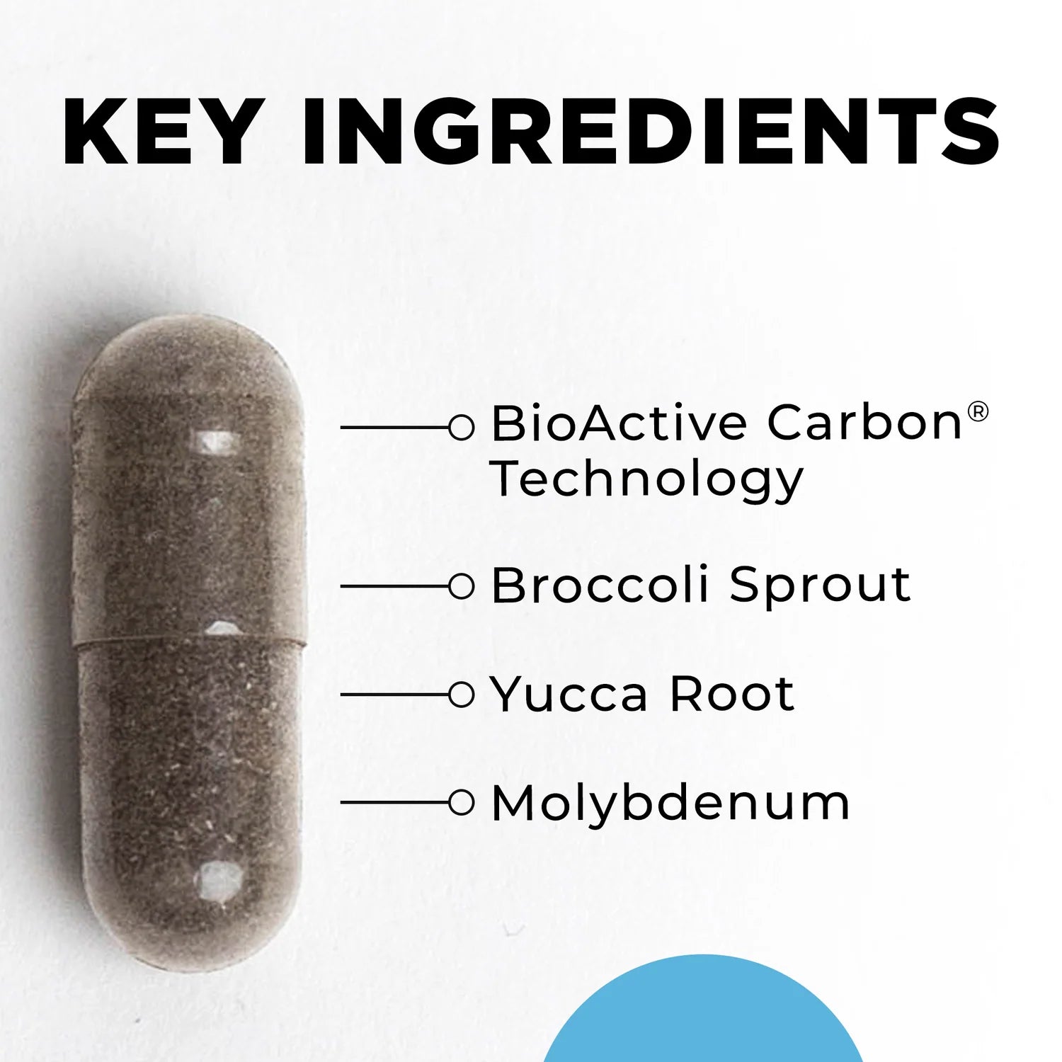 Capsule with key ingredients listed on a white background