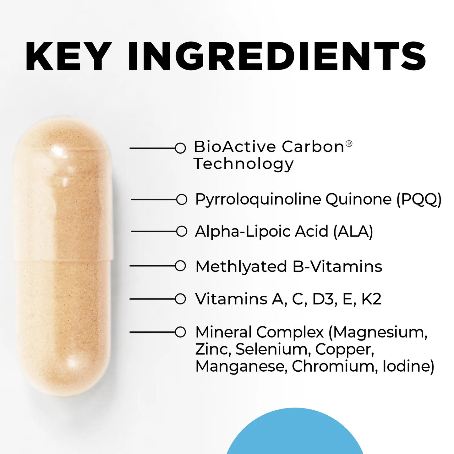 Capsule with key ingredients listed on a white background