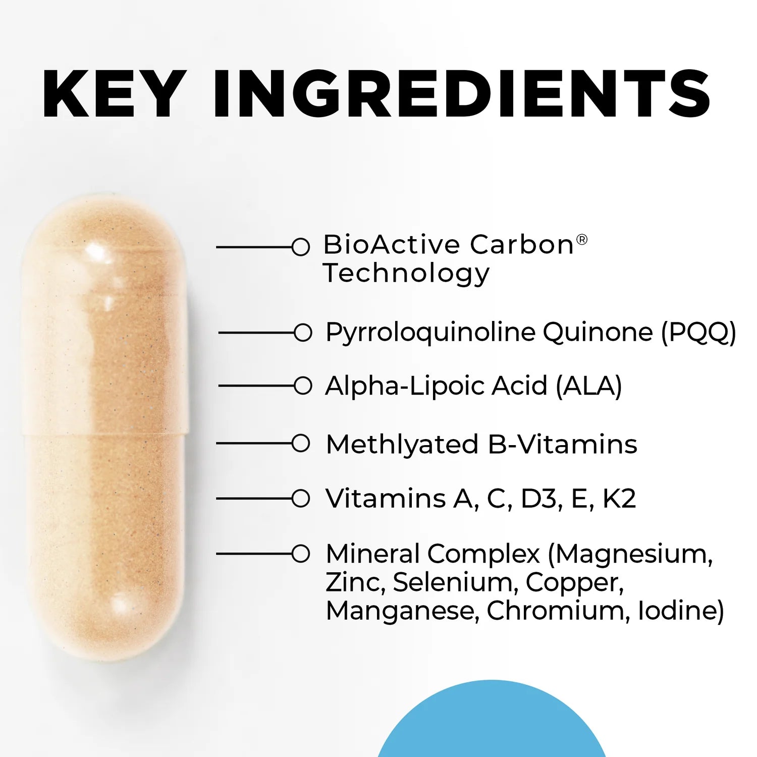 Capsule with key ingredients listed on a white background