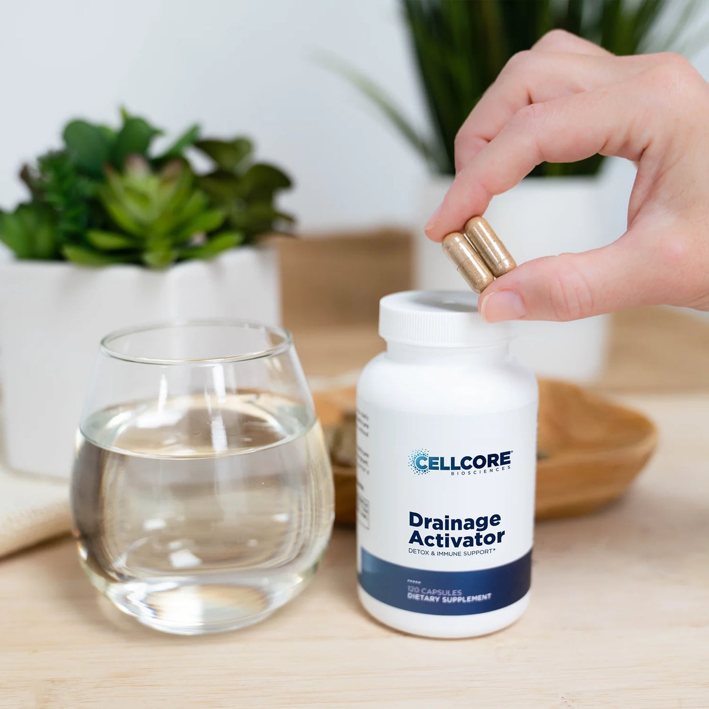 Hand holding a bottle labeled 'Drainage Activator' by CELLCORE on a table with a glass of water and plants in the background.