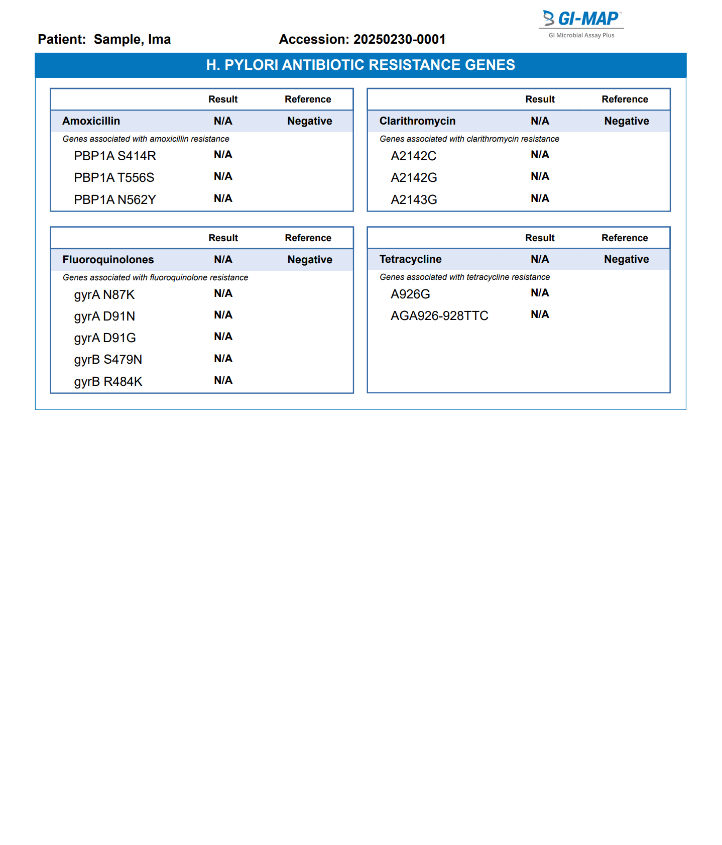 GI Map Sample Report 5