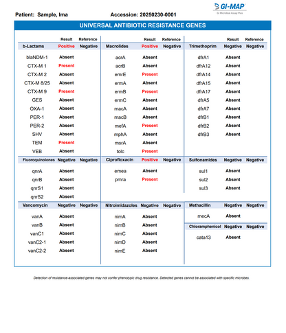 GI Map Sample Report 6