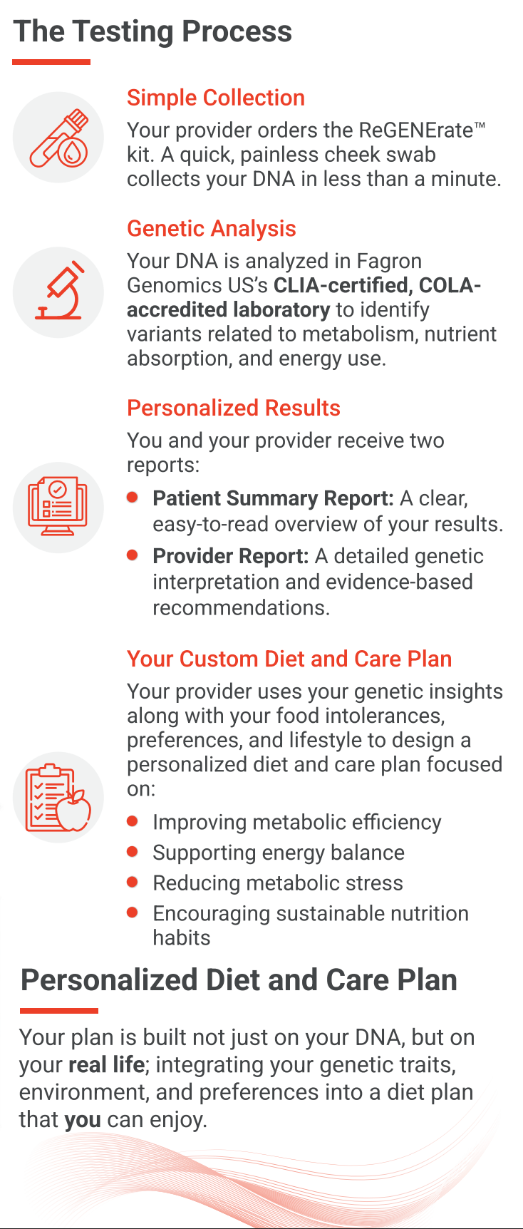 A digital infographic detailing the 'The Testing Process' for a personalized DNA test service called Regenerate. The graphic outlines steps from a simple collection kit to genetic analysis, personalized results, and a custom diet and care plan, with icons and text on a clean white background.
