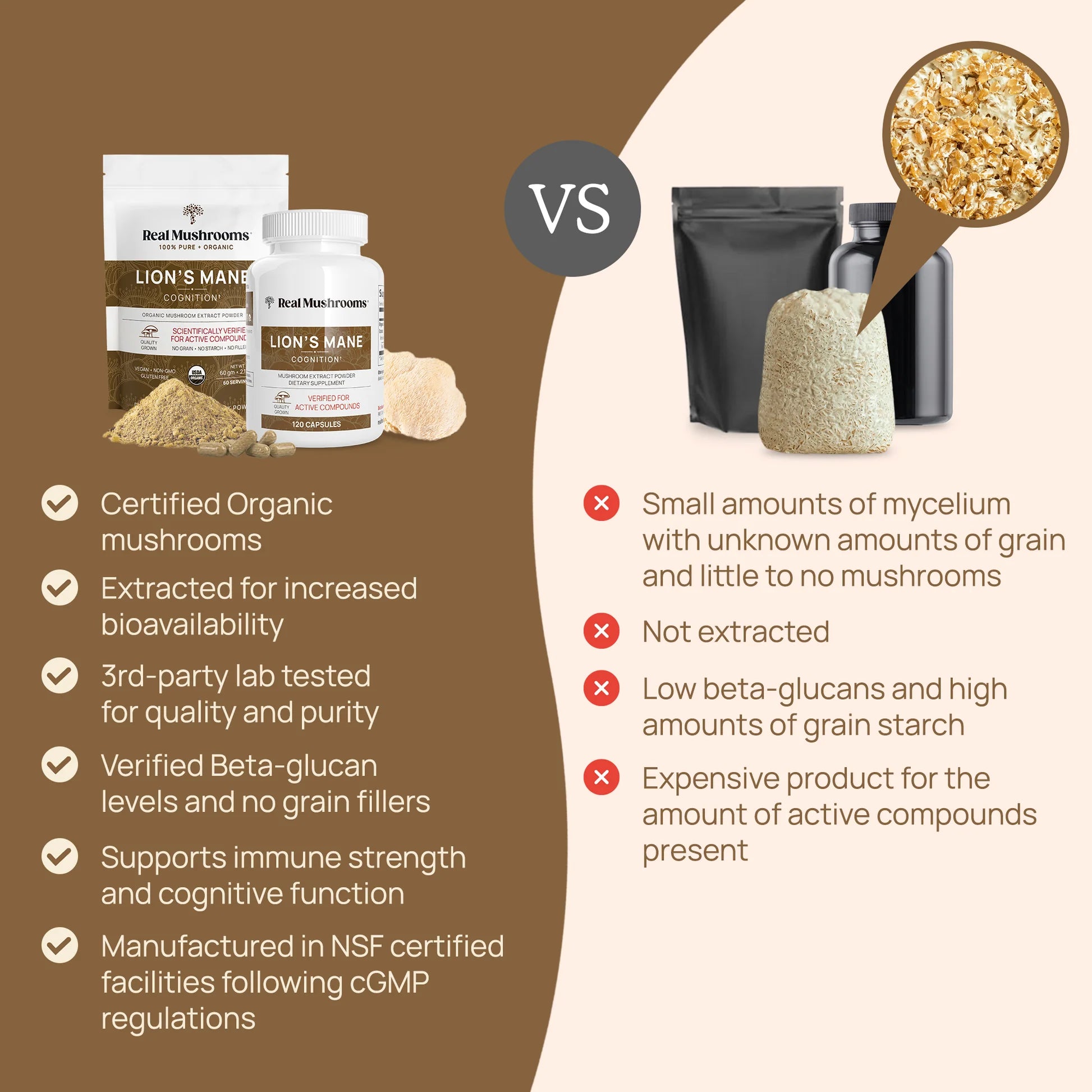 Organic Lions Mane Extract benefits