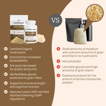 Organic Lions Mane Extract benefits