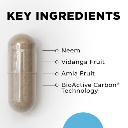 Capsule with key ingredients listed on a white background
