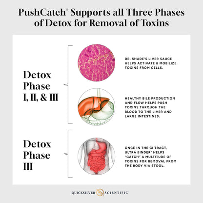 PushCatch® Liver Detox process explanation